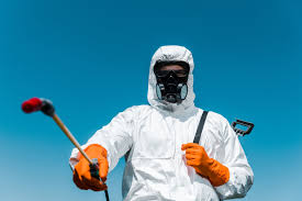 Best Real Estate Pest Inspections  in Seffner, FL